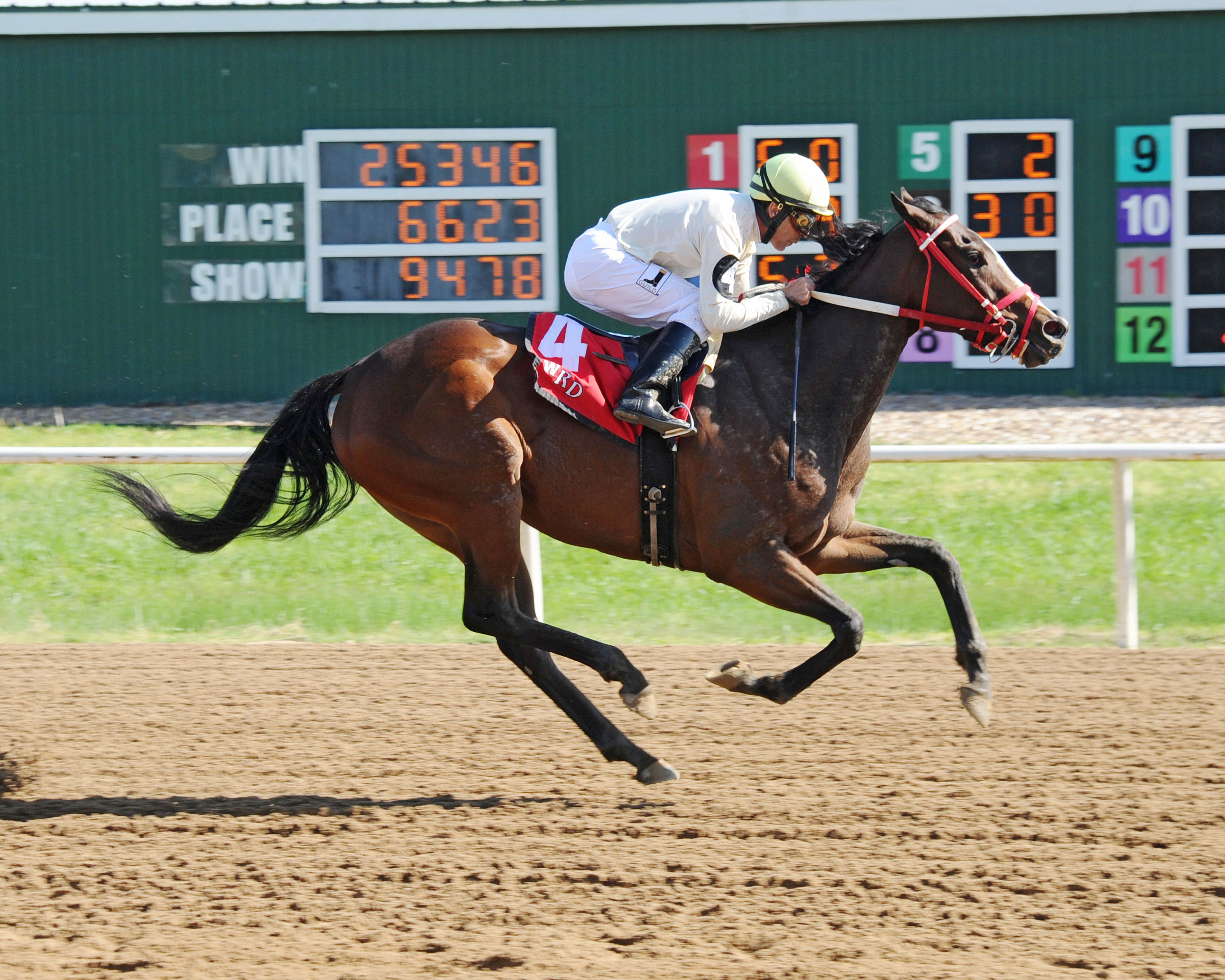 Hailstorm Slew wins the Great Lady M Stakes