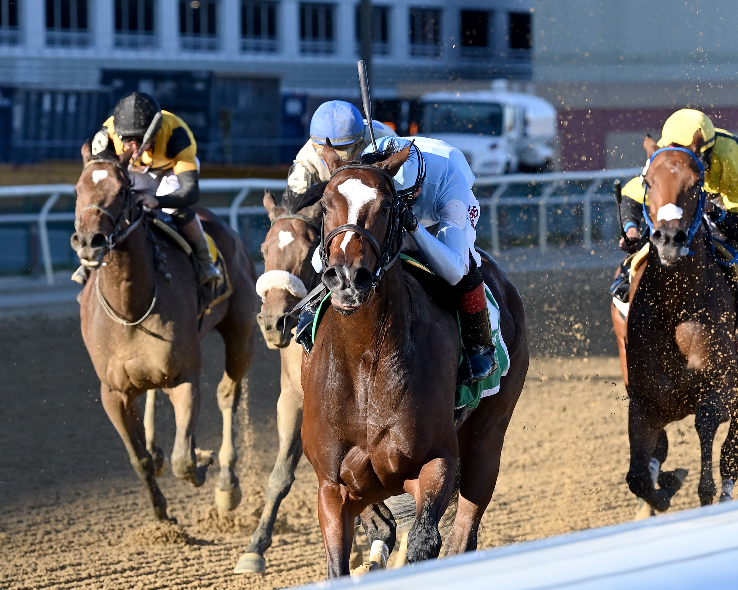 Half Is Enough wins the Glen Cove Oct 14 2022