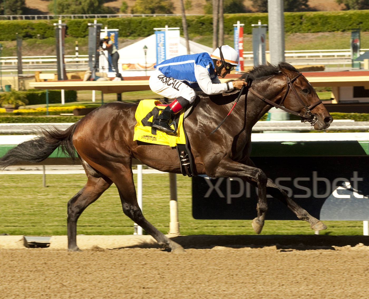 Half Strike, maiden win