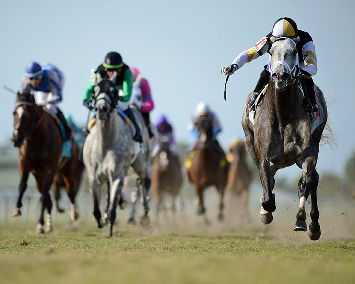 Halladay wins an April 4 allowance optional claimer at Gulfstream Park