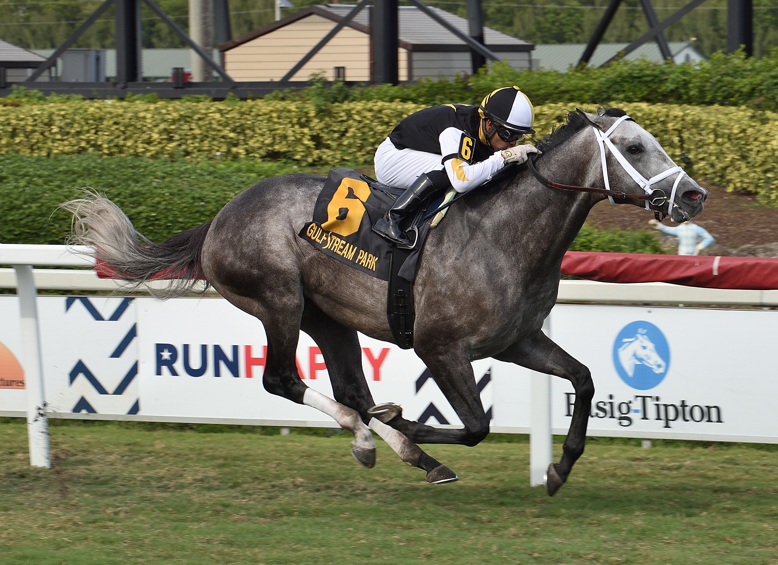 Halladay. Sunshine Forever Stakes.Lauren King 5-9-2020