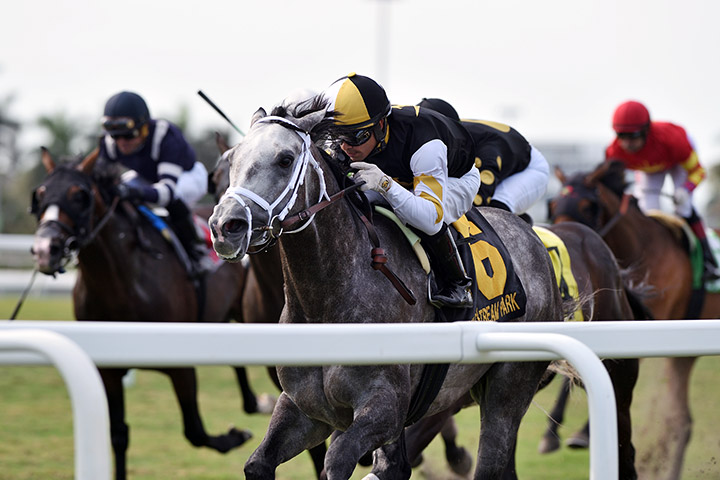 Halladay wins the 2020 Sunshine Forever Stakes at Gulfstream Park