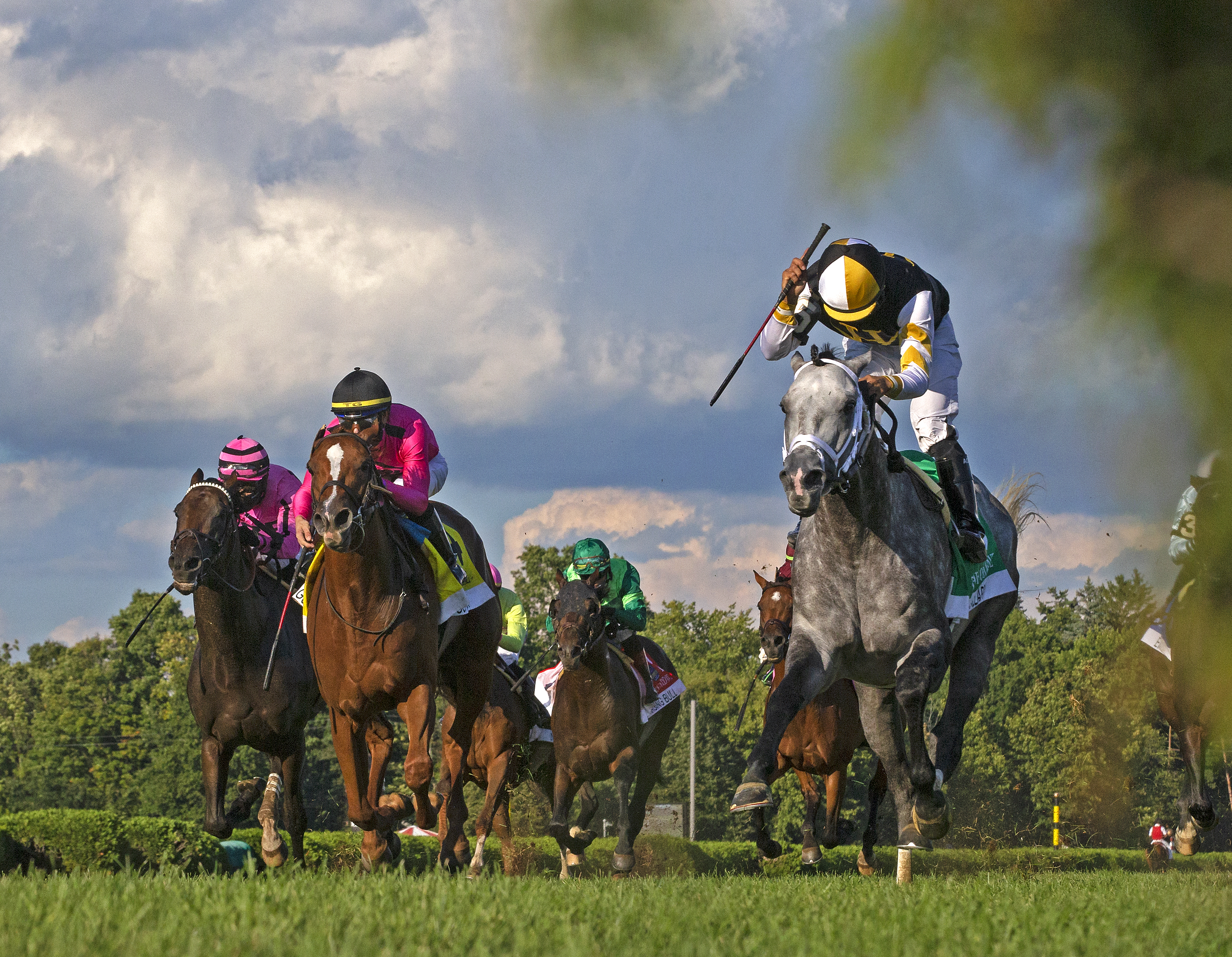Halladay gana el Fourstardave Handicap G1