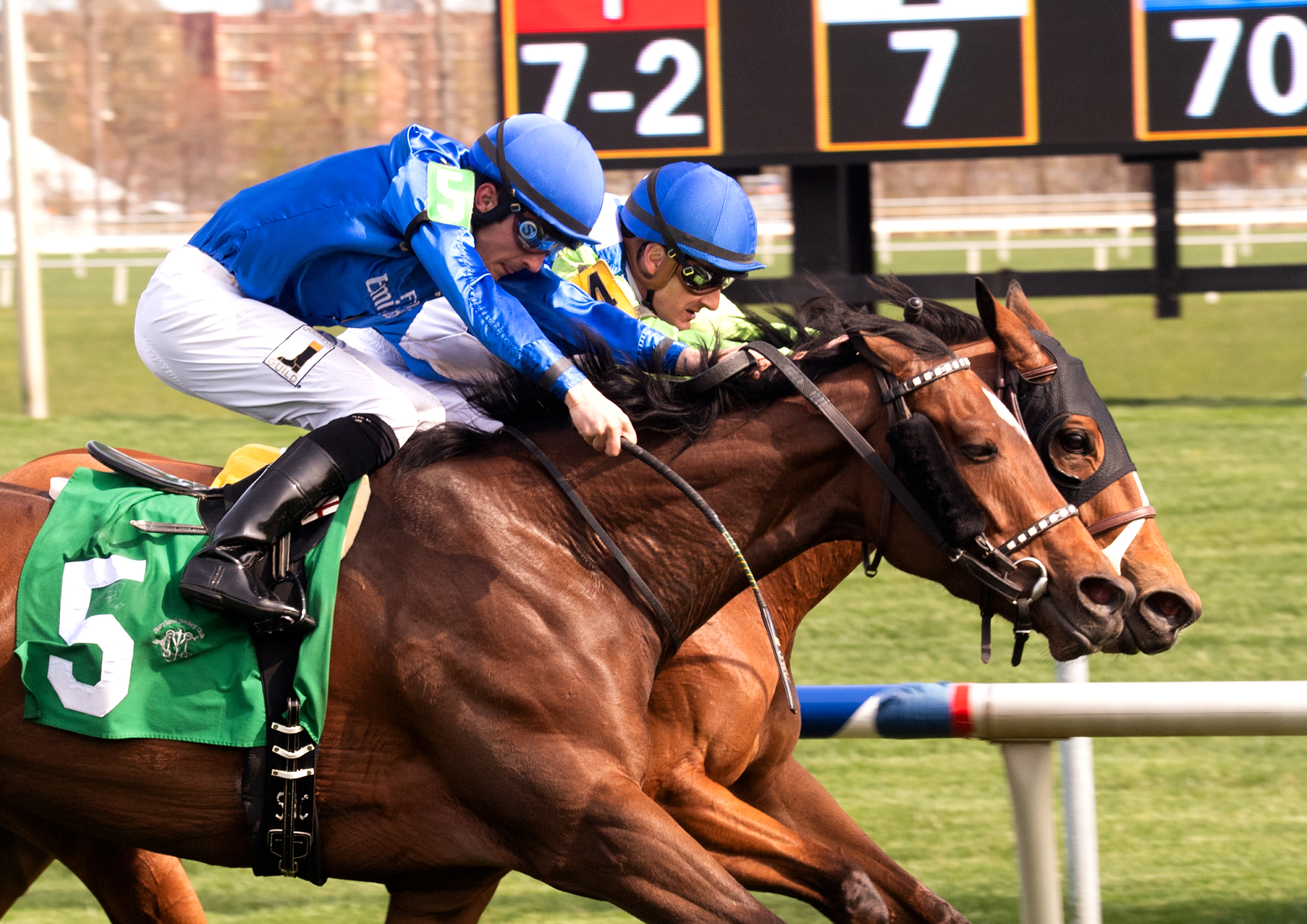 Hallie Belle (No. 5) wins the 2018 Dahlia Stakes