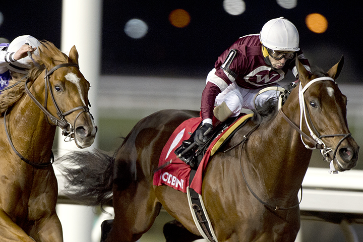 Halo Again wins the 2019 Coronation Futurity at Woodbine Racetrack