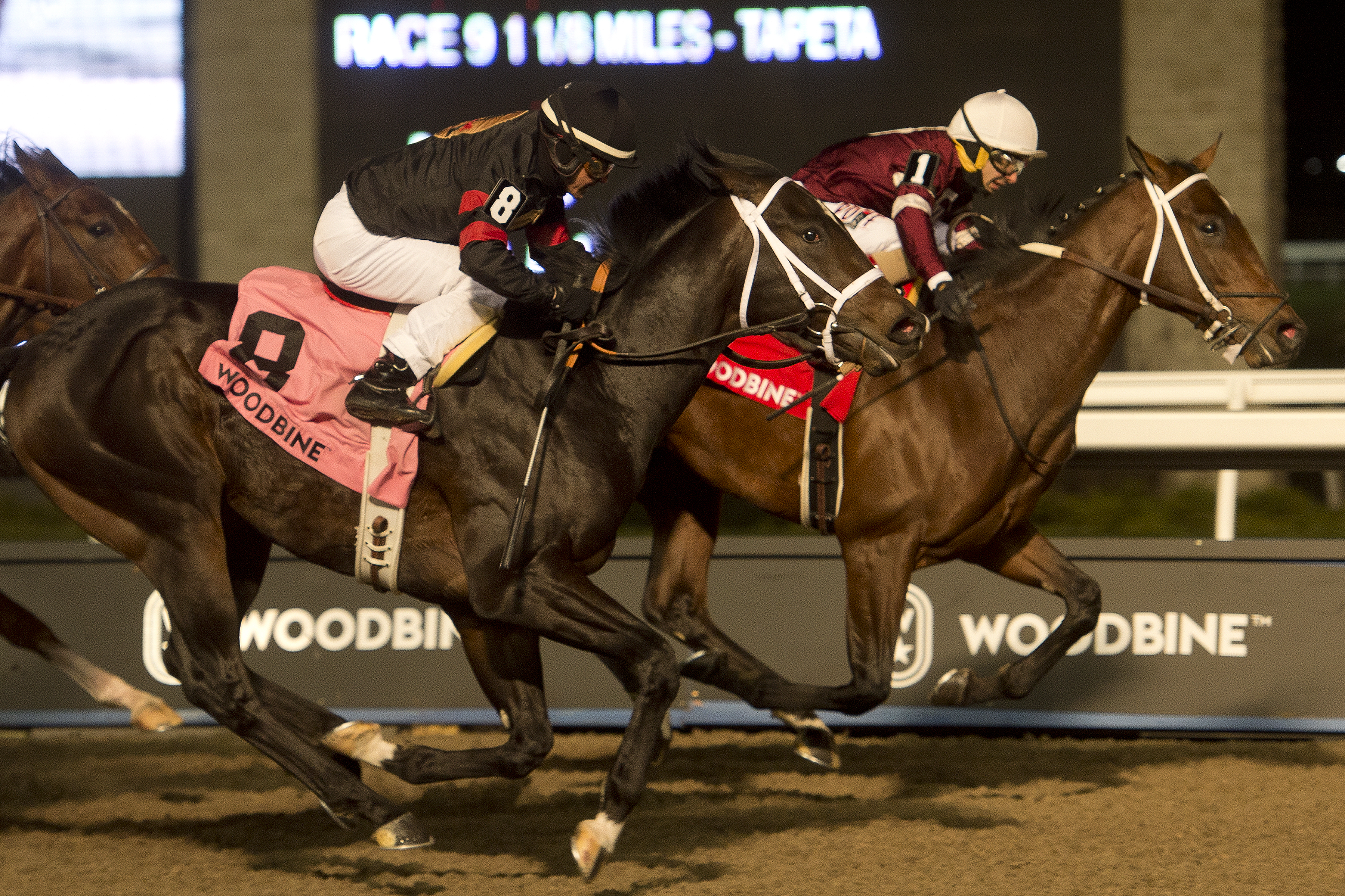 Halo Again wins the 2019 Coronation Futurity