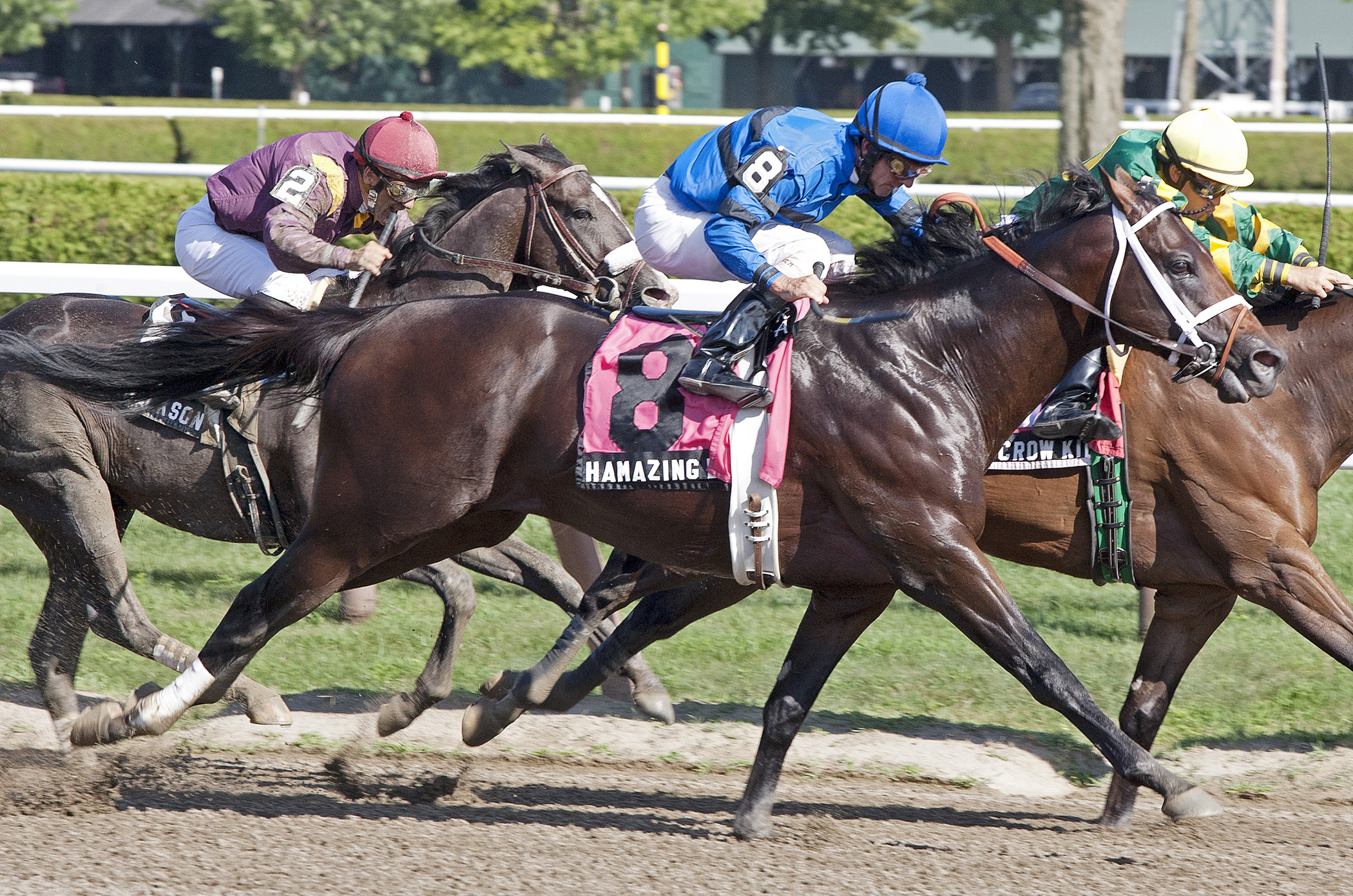 Hamazing Destiny/James Marvin (second)