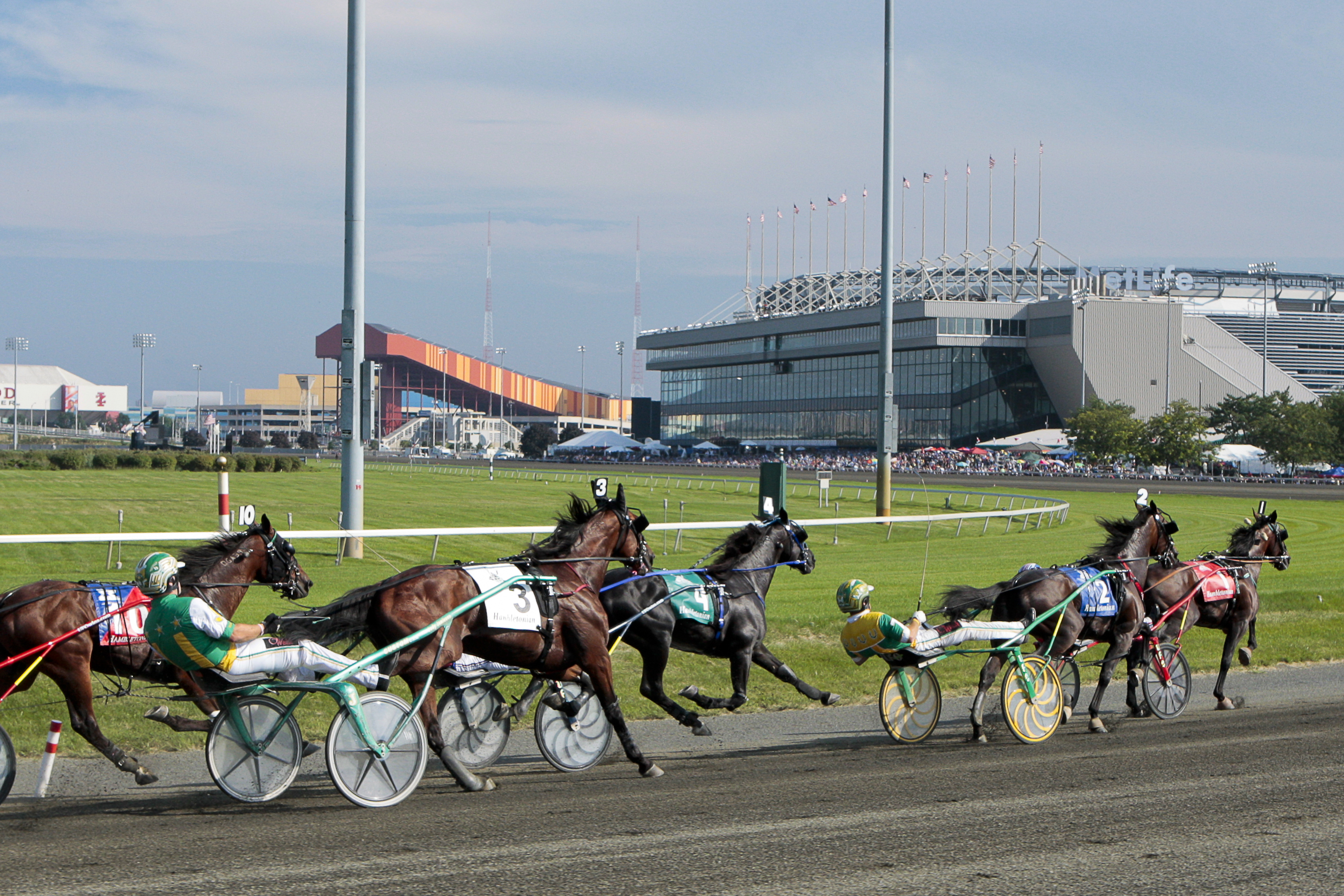 Hambo shot