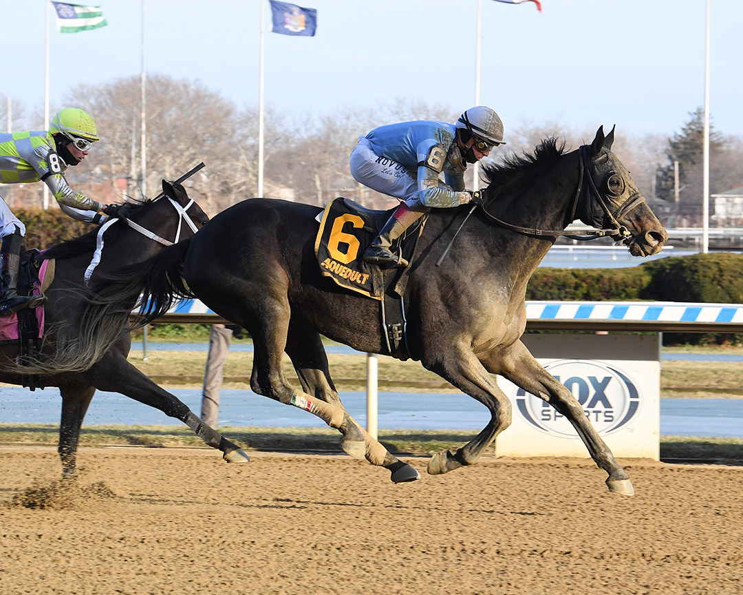 Hammerin Aamer wins a Jan. 14 claiming race at Aqueduct Racetrack