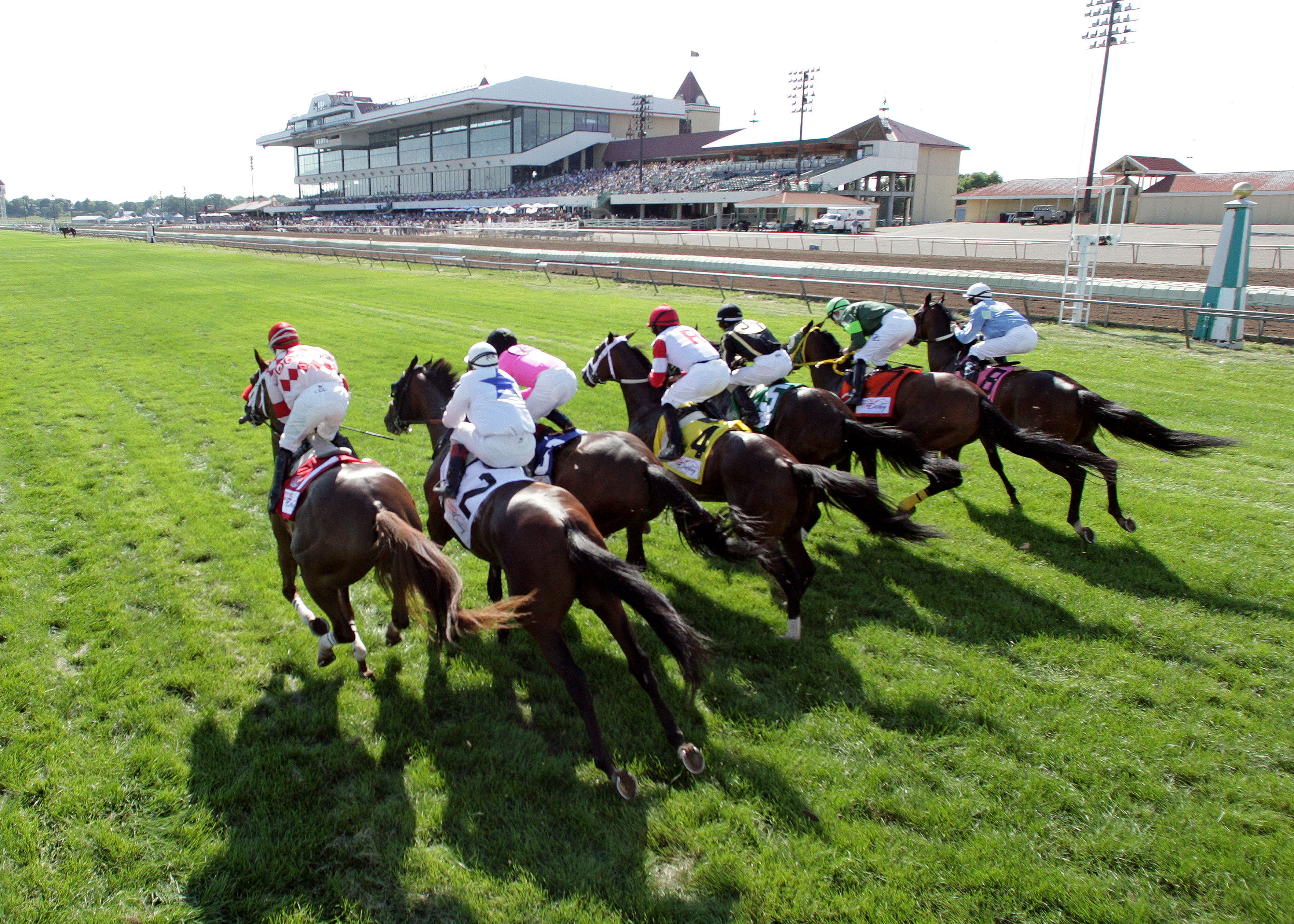 Turf race at Canterbury Park