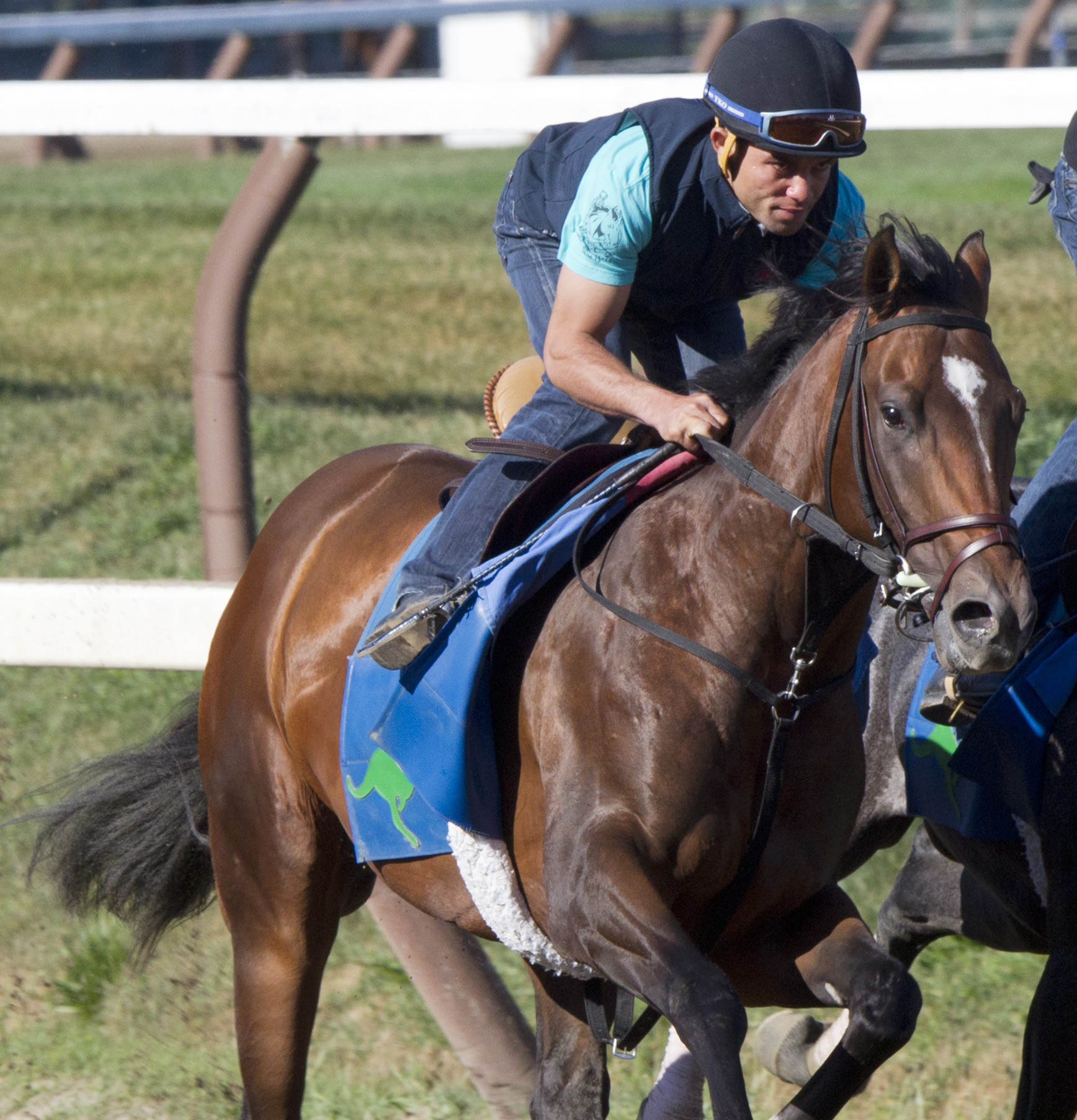 Hammers Vision trains at Saratoga