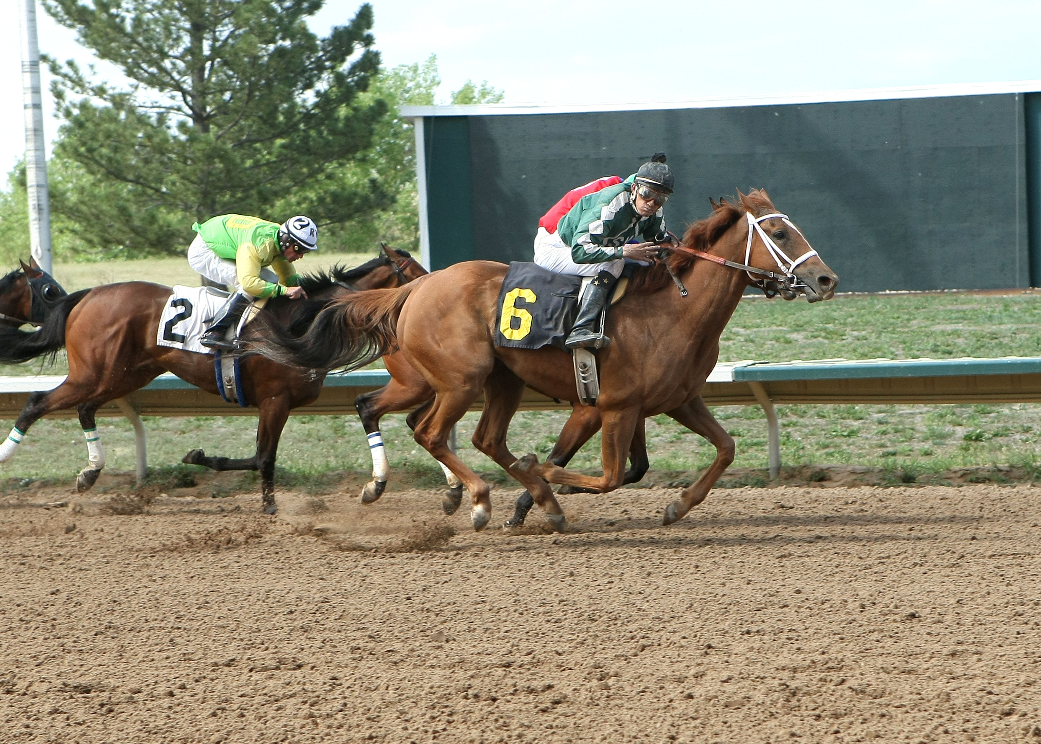 Hammett Star 6-19-2011
