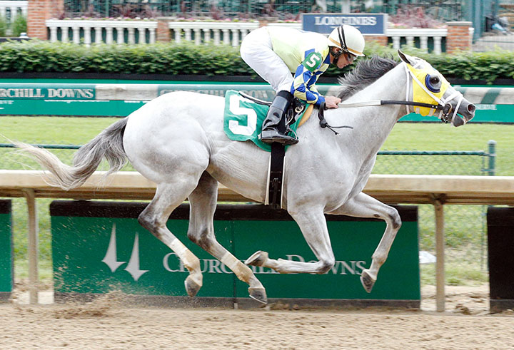 Han Sense wins a May 11 allowance at Churchill Downs