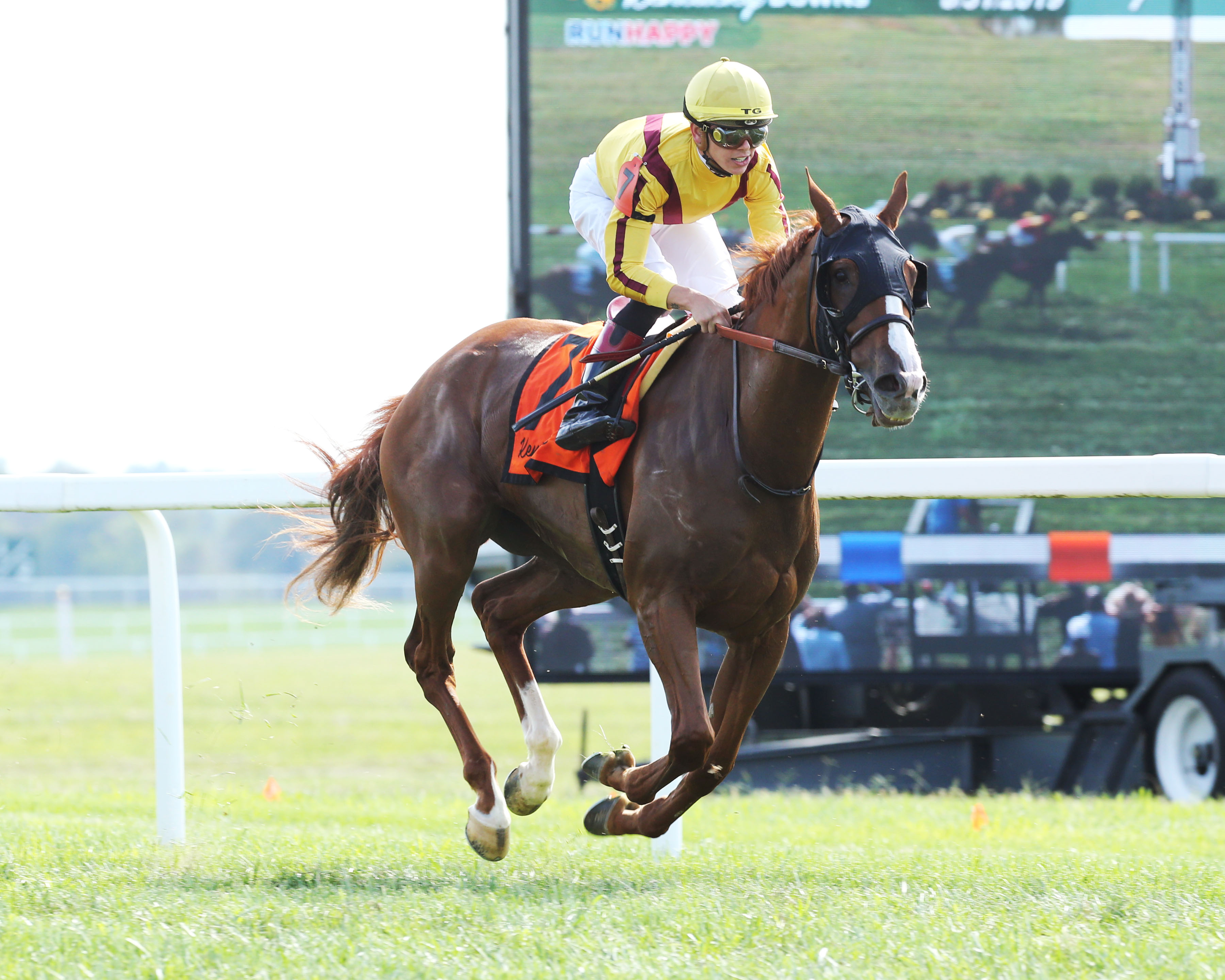 Hanalei Moon and Tyler Gaffalione wins One Dreamer Stakes 8-31-2019.Coady