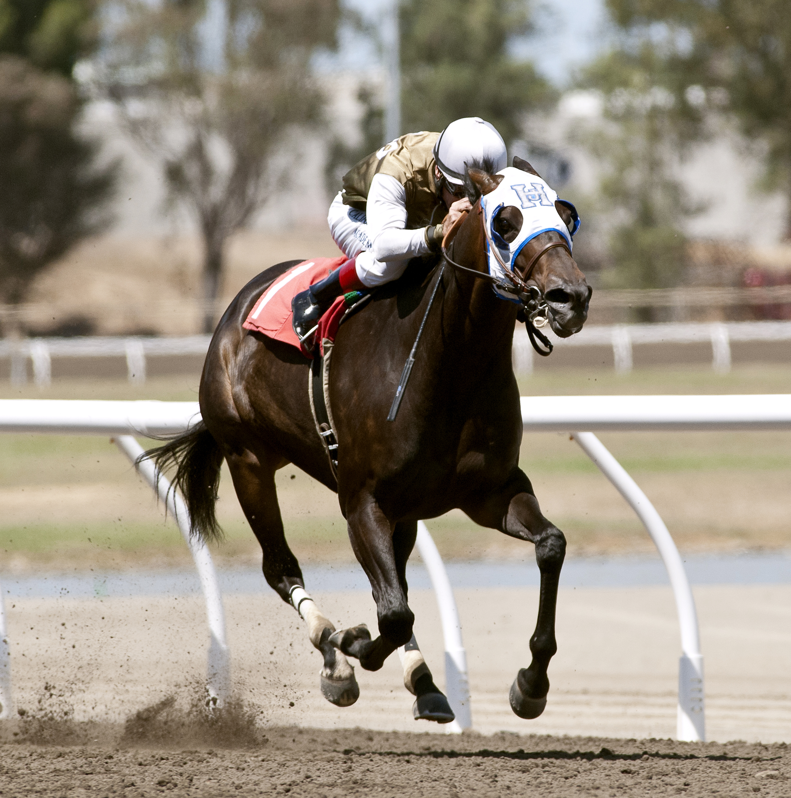 Handfull wins the 2015 California Governor's Cup