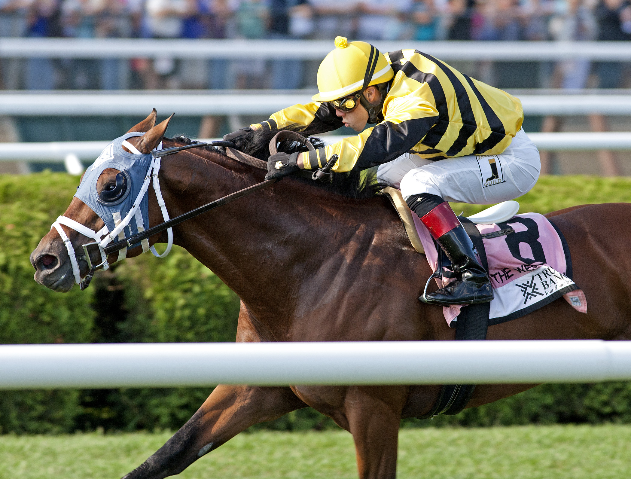 Hangover Kid, West Point Stakes