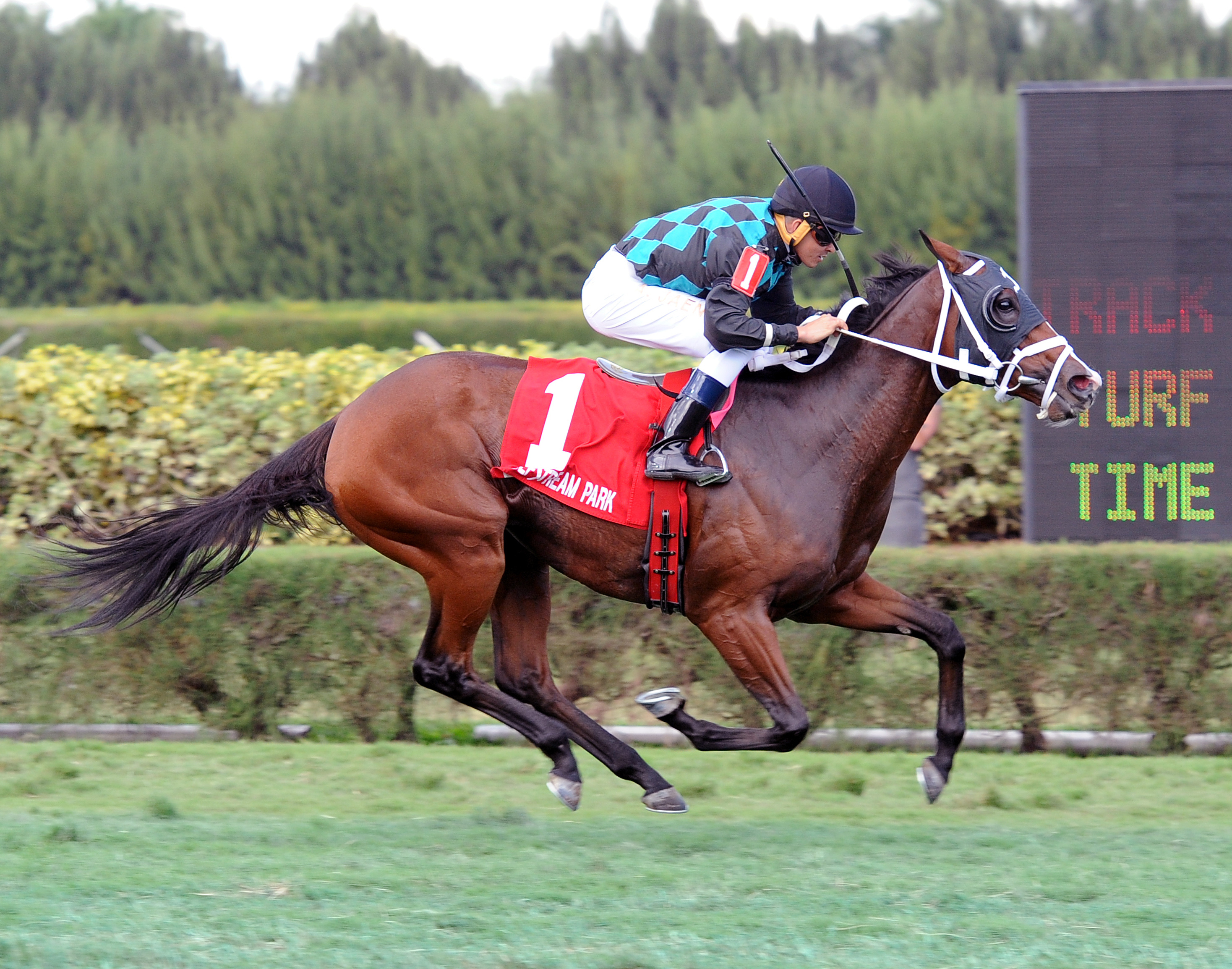 Hangover Saturday wins the Juvenile Filly Turf Stakes