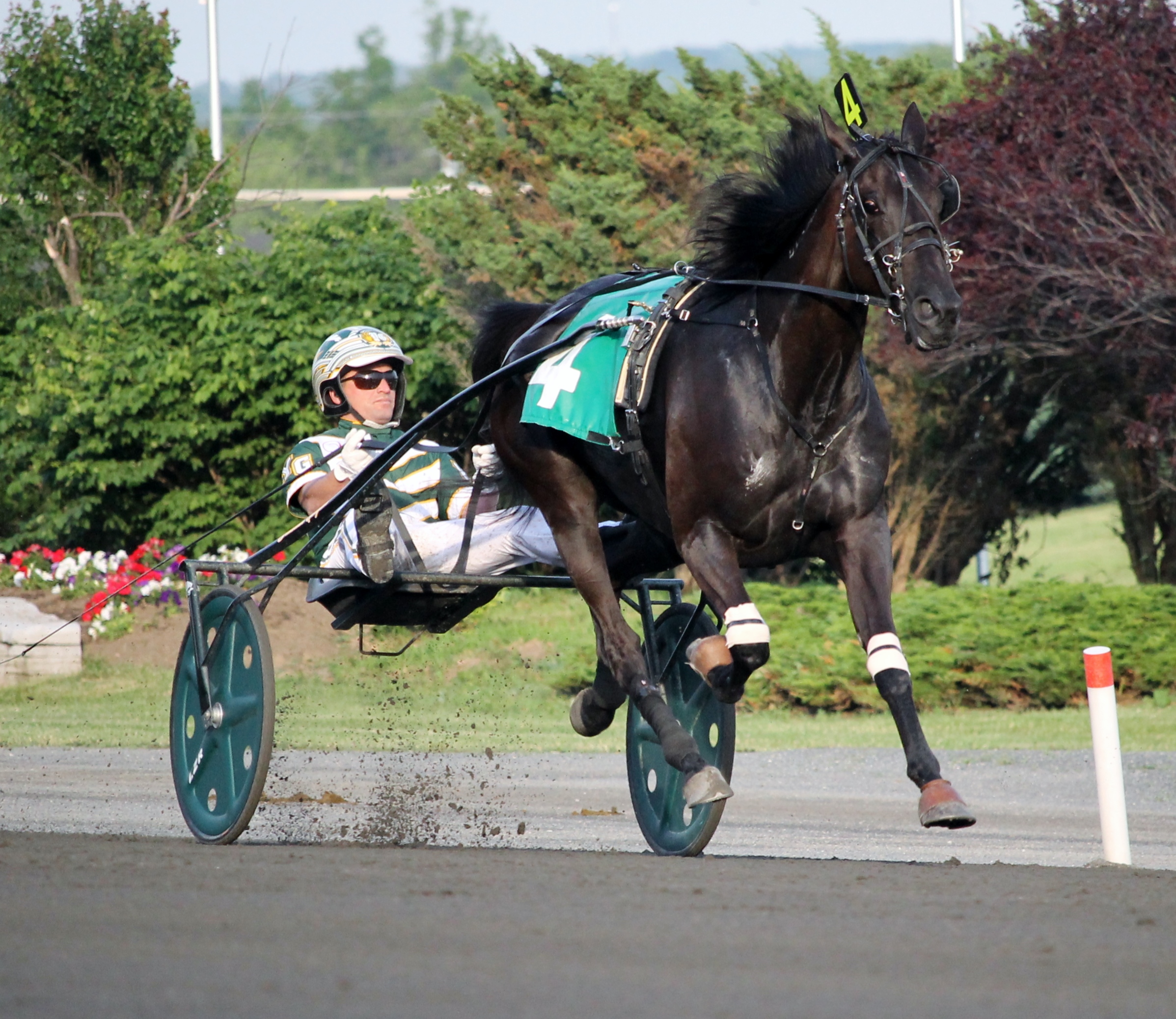 Hannelore Hanover