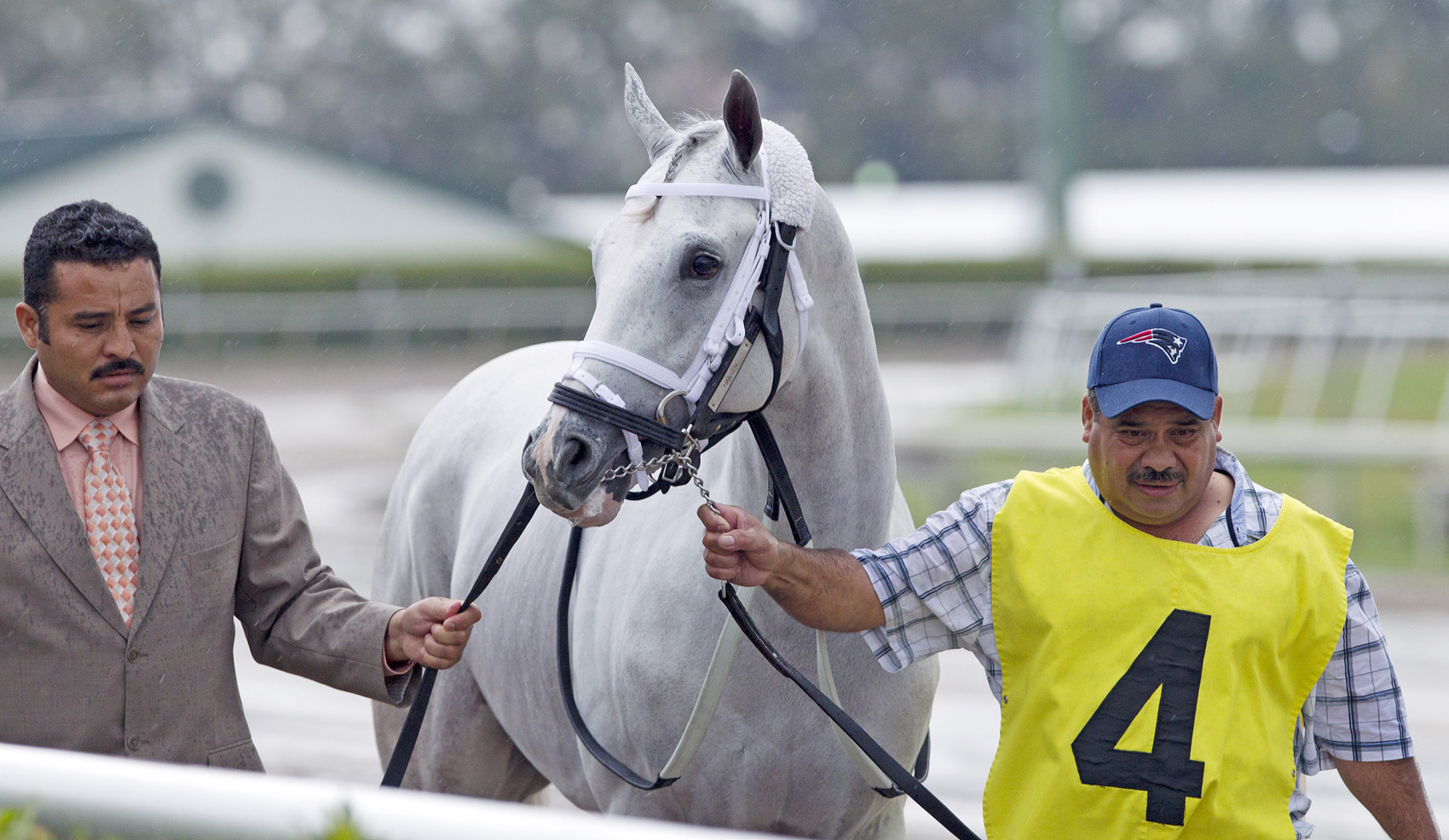 Hansen, before Holy Bull