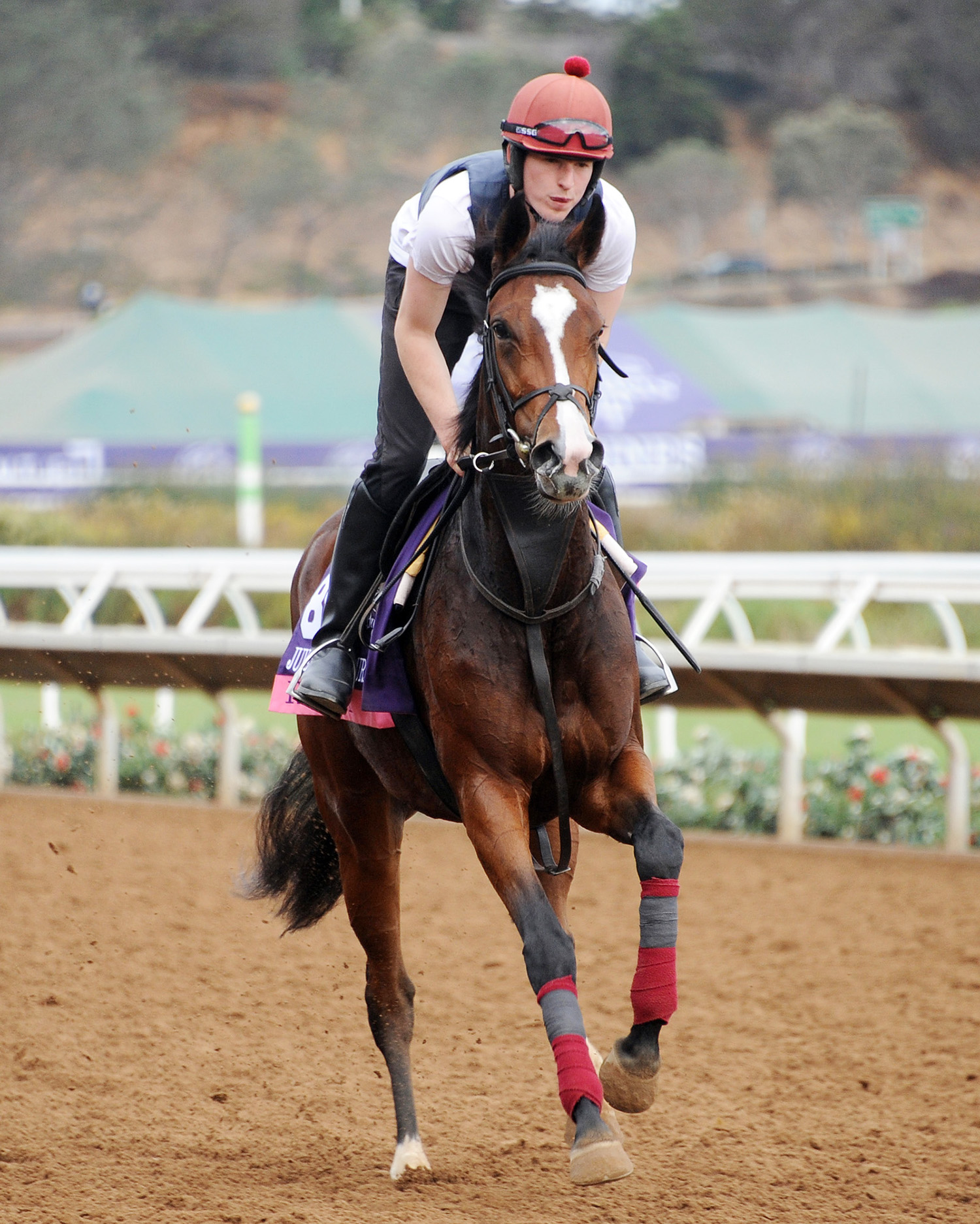 Happily at Del Mar on Nov. 1