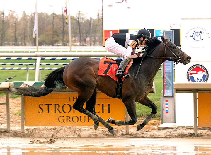 Happy Farm wins an April 2018 allowance race at Laurel Park