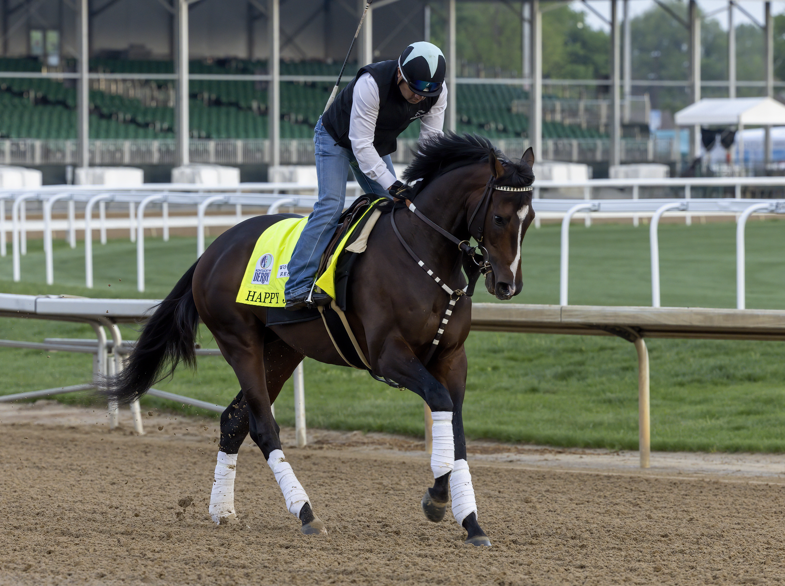 Happy Jack galloping at Churchill Downs