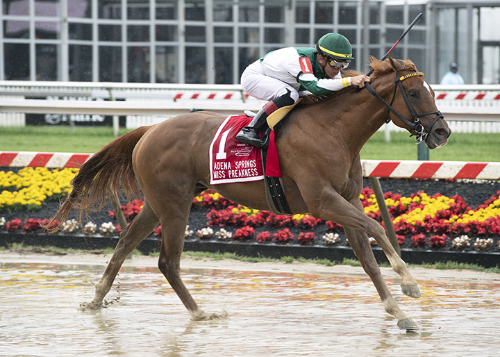 Happy Like a Fool wins the 2018 Miss Preakness