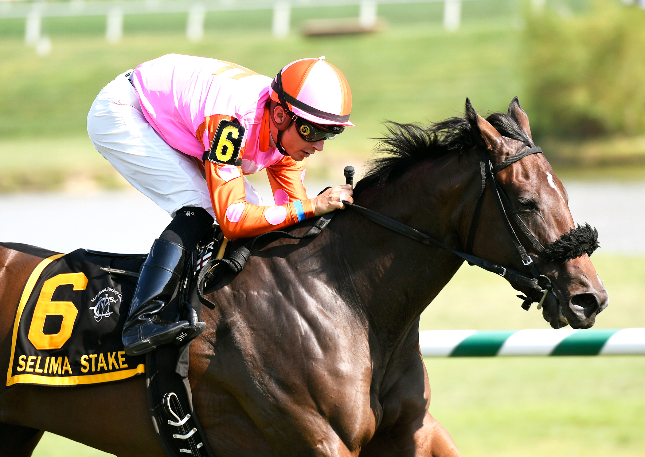 Happy Mesa wins the Selima Stakes
