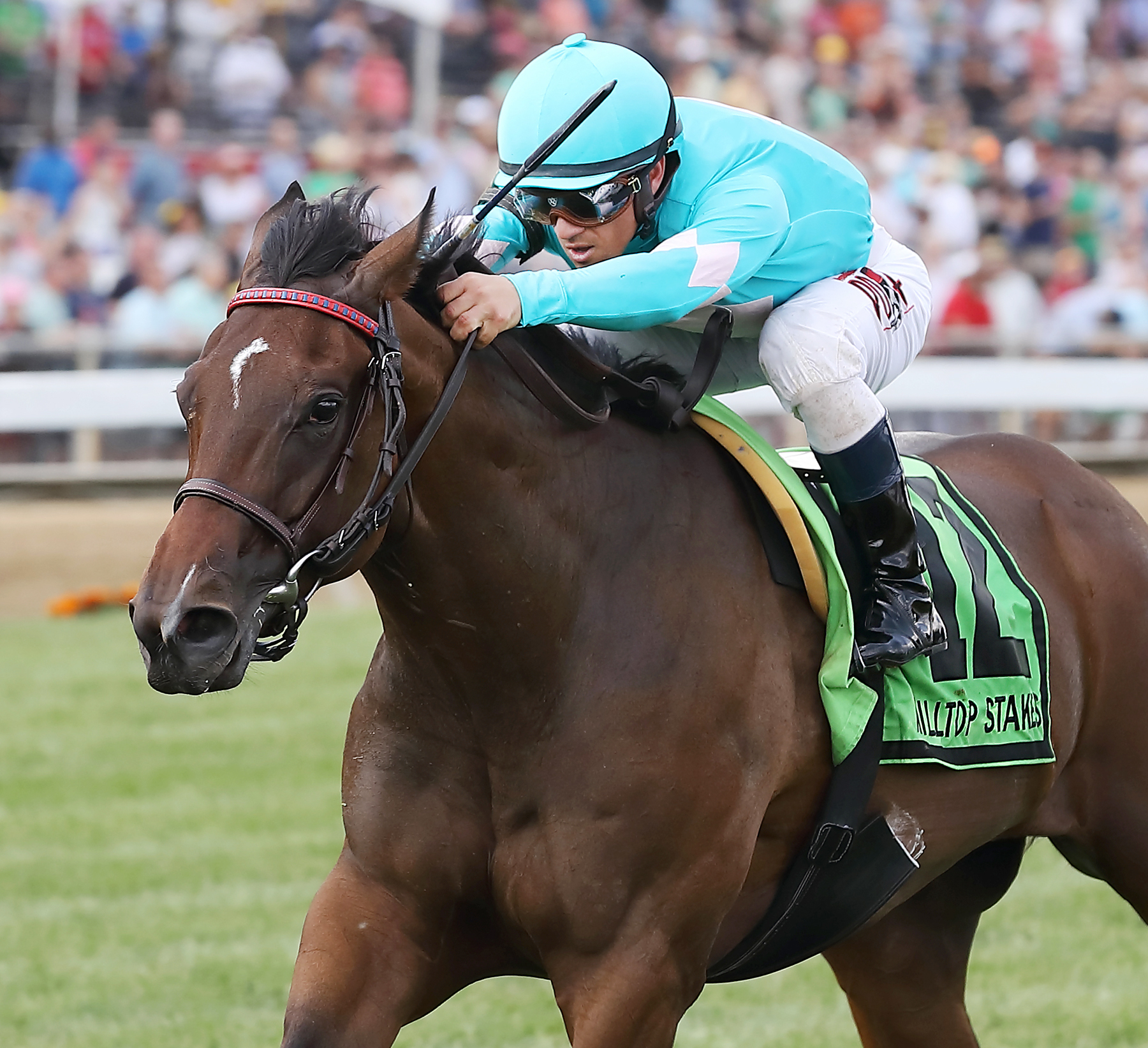 Happy Mesa wins the Hilltop Stakes