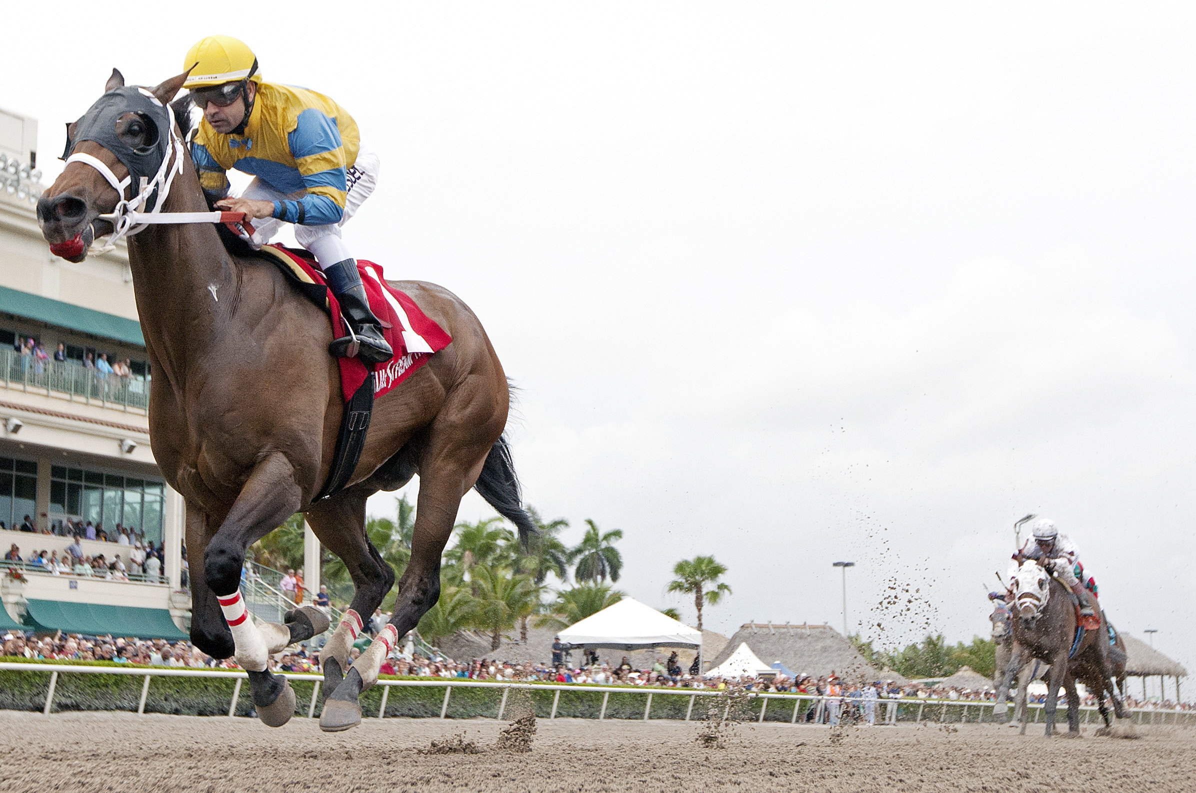 Happy My Way wins the Sir Shackleton Stakes