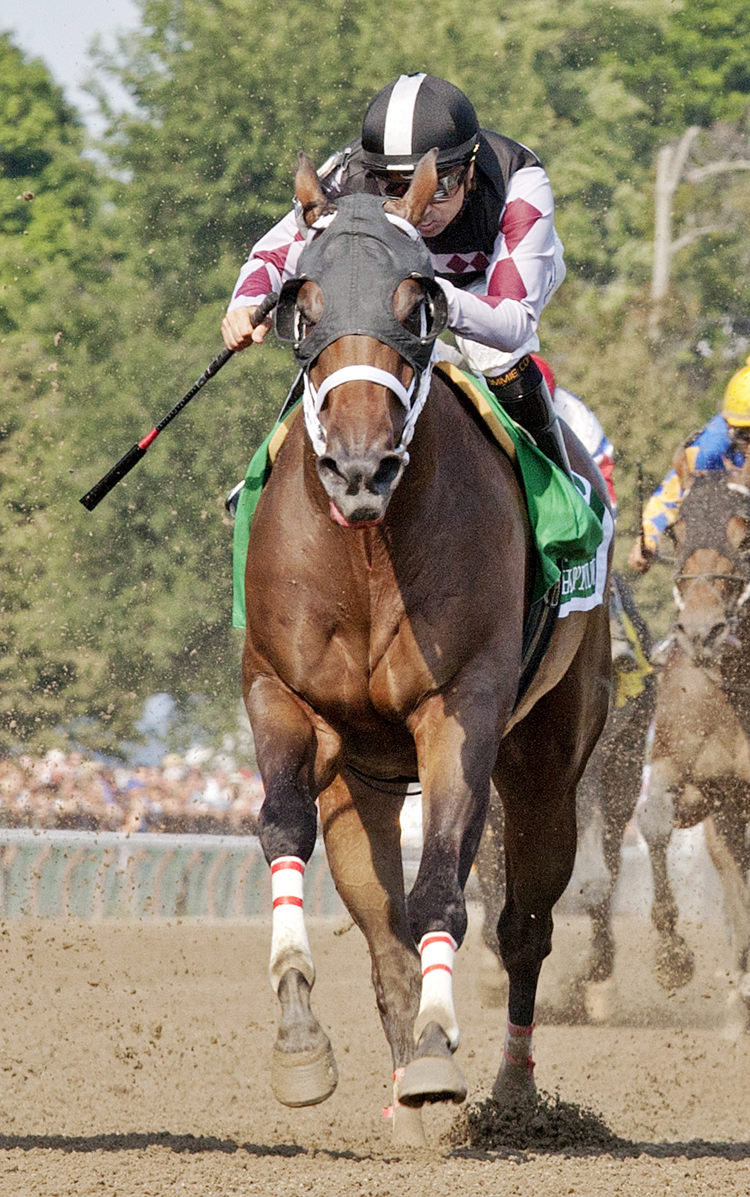 Happy My Way finishes second in the Vanderbilt