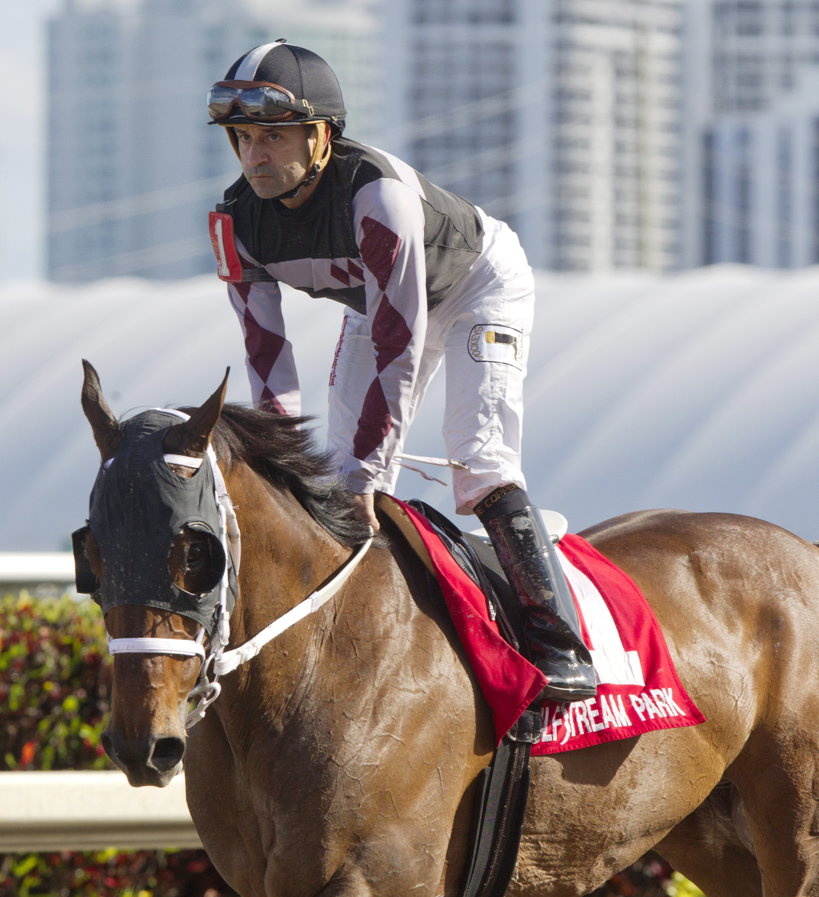 Happy My Way finishes third in the Florida Sunshine Millions Sprint Stakes