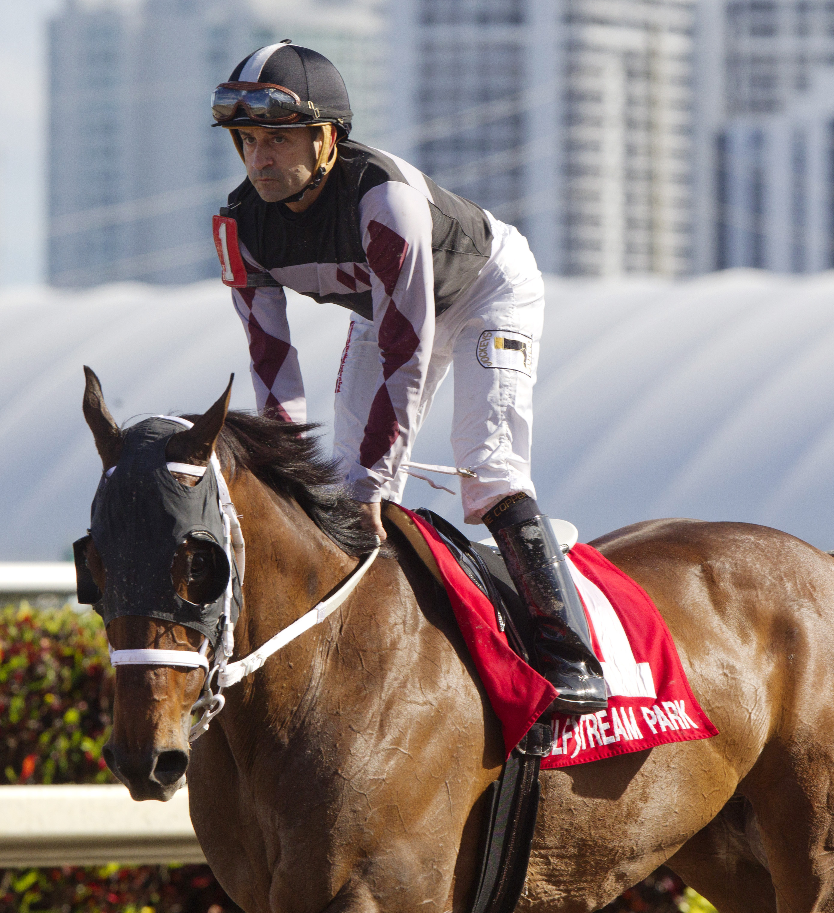 Happy My Way finishes third in the Florida Sunshine Millions Sprint Stakes