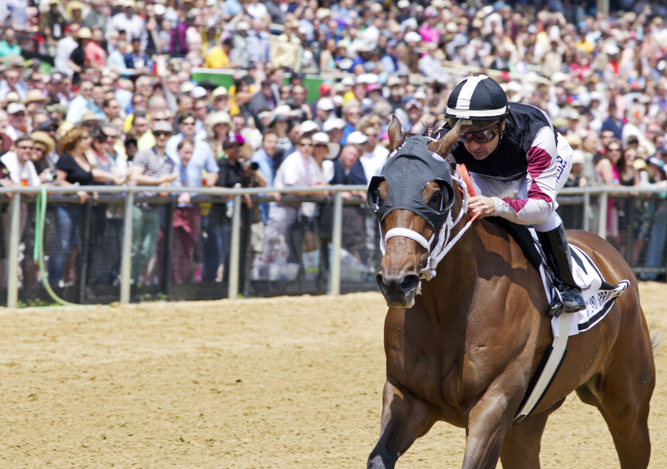 Happy My Way wins the 2014 Maryland Sprint Handicap