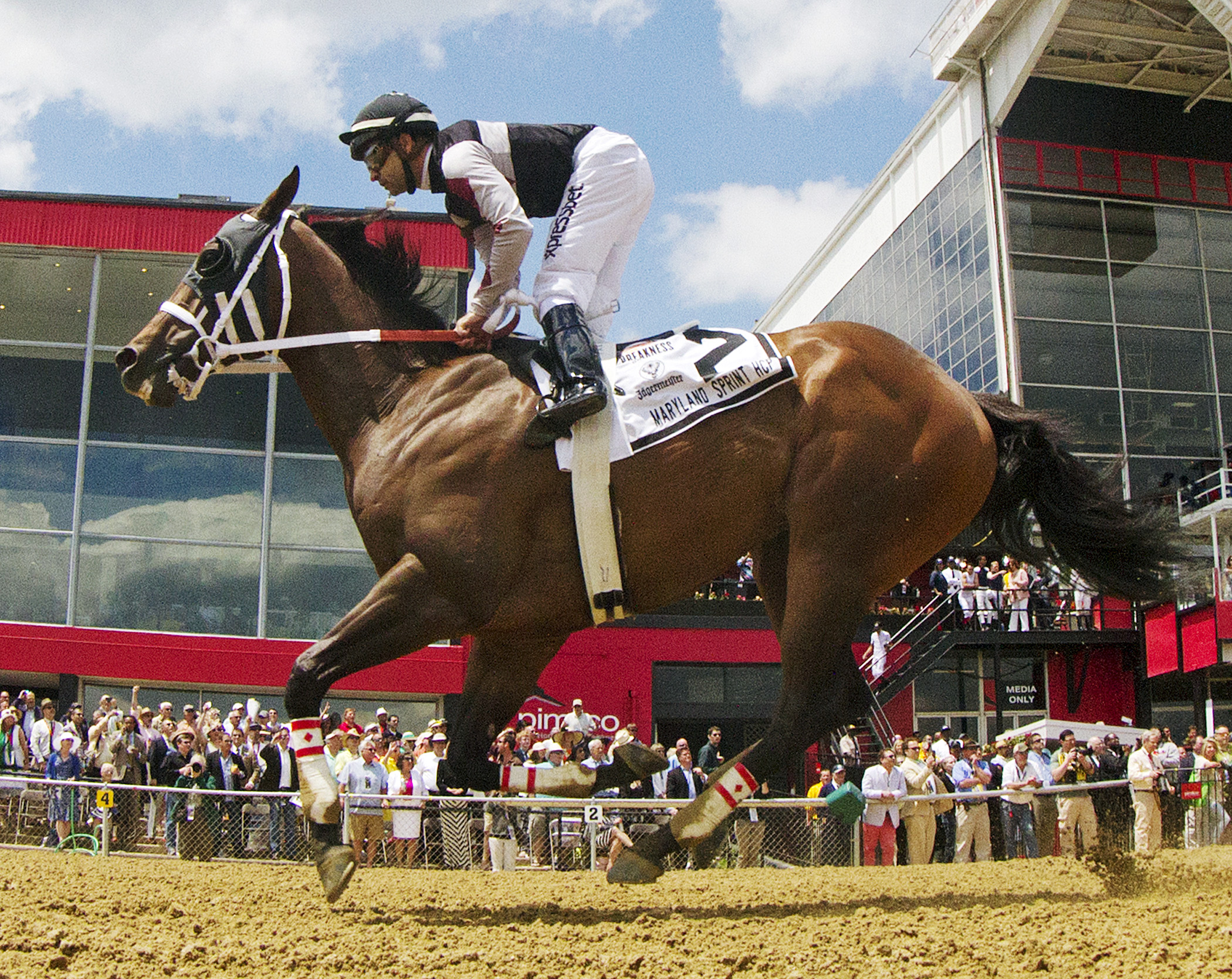 Happy My Way wins the Maryland Sprint Handicap