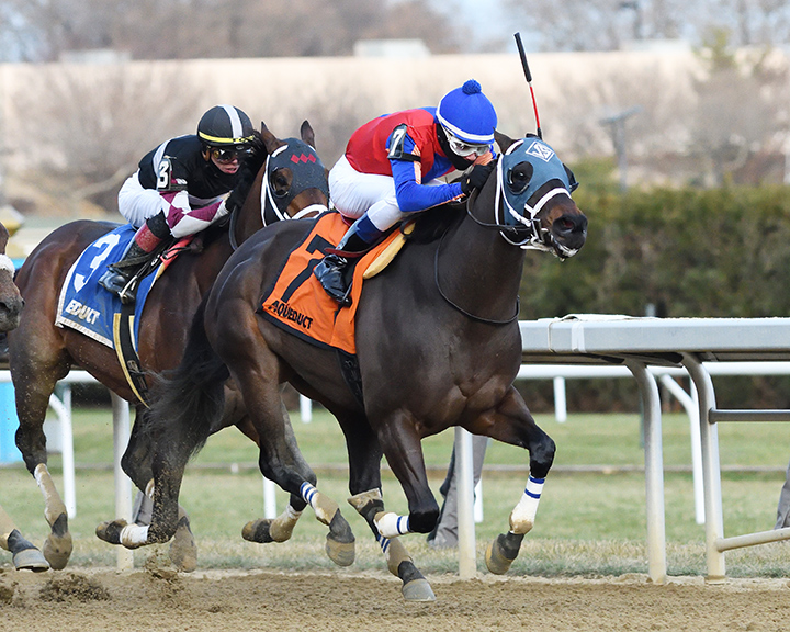 Happy Farm wins the 2019 Fall Highweight Handicap at Aqueduct Racetrack