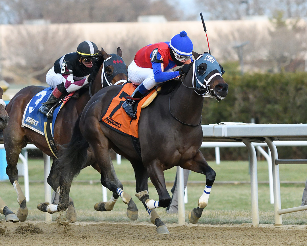 Happy Farm wins the 2019 Fall Highweight Handicap at Aqueduct