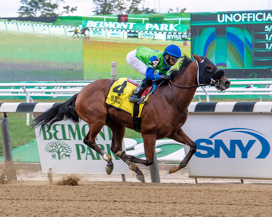 Happy Medium wins a Sept. 30 maiden race at Belmont Park