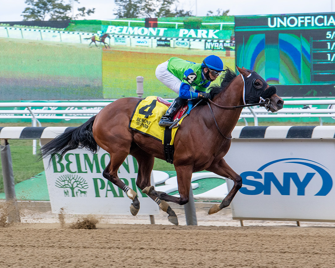Happy Medium wins a Sept. 30 maiden race at Belmont Park