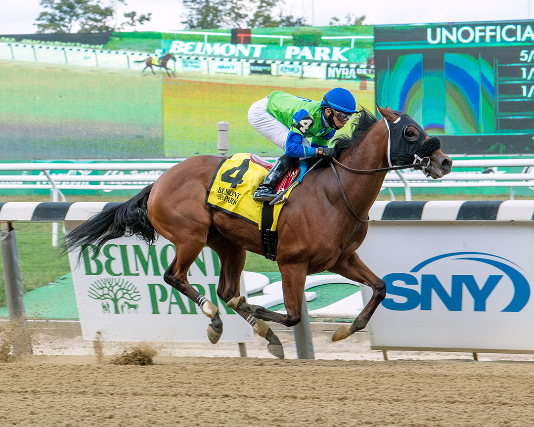 Happy Medium wins a Sept. 30 maiden race at Belmont Park