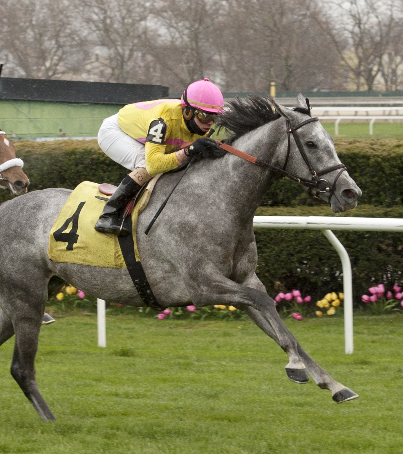 Happyness wins an allowance race in April