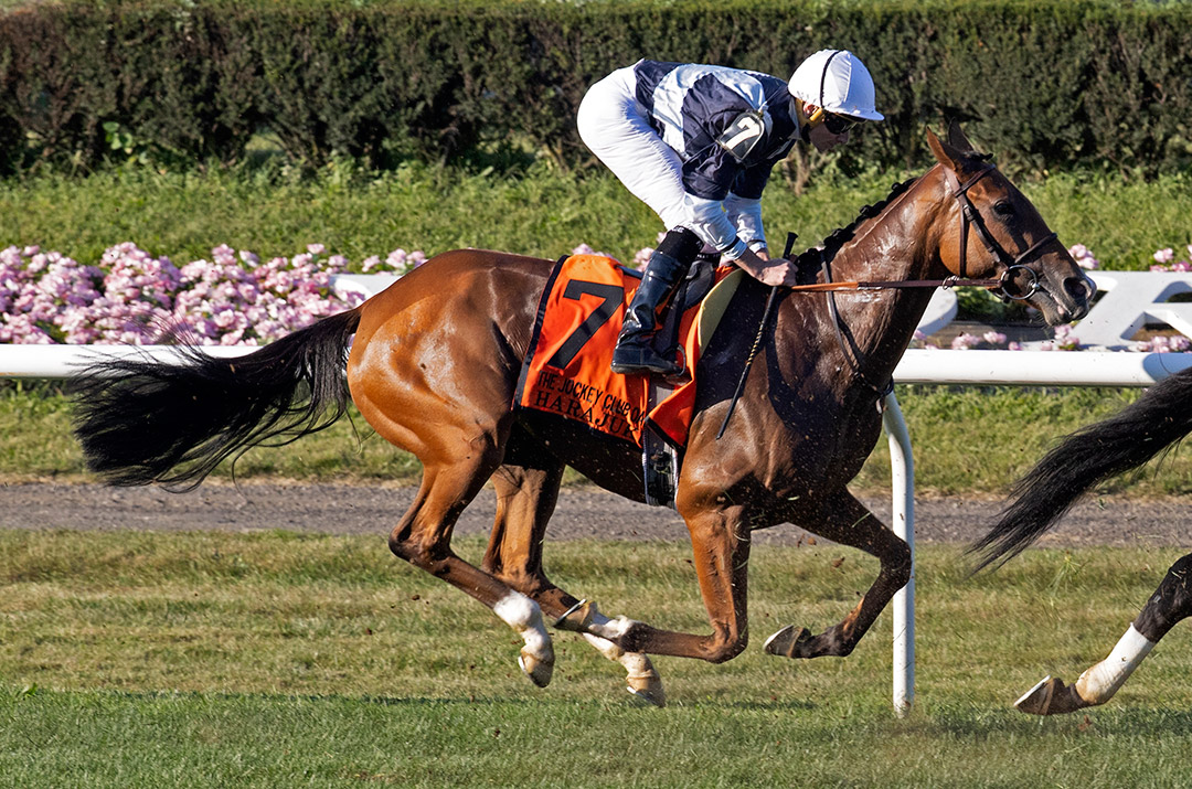 Harajuku finishes third in the 2021 Jockey Club Oaks at Belmont Park