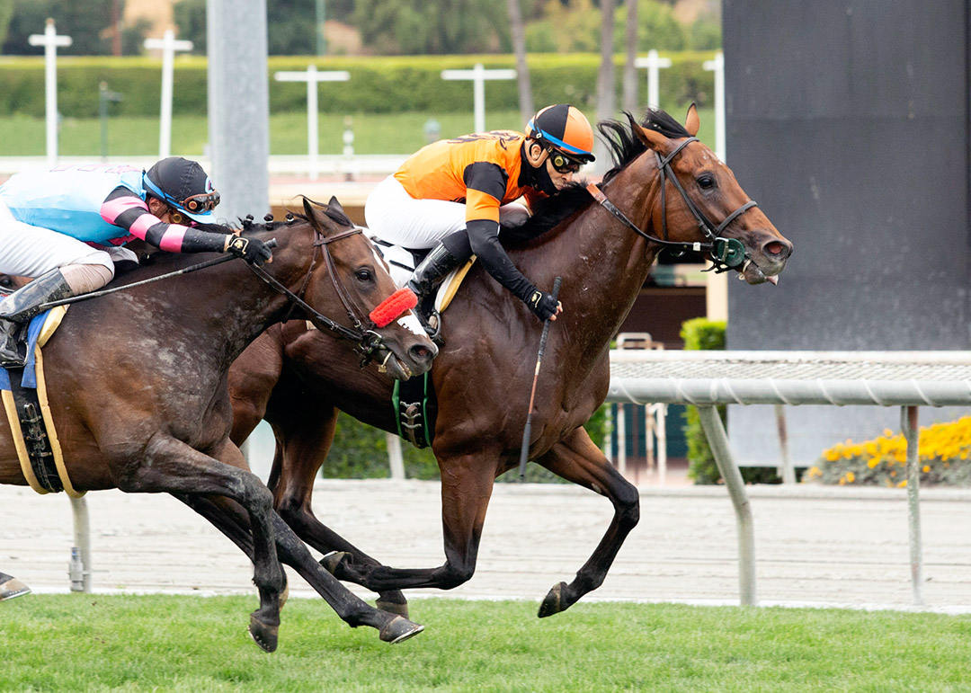 Harbored Memories wins a May 15 maiden race at Santa Anita Park