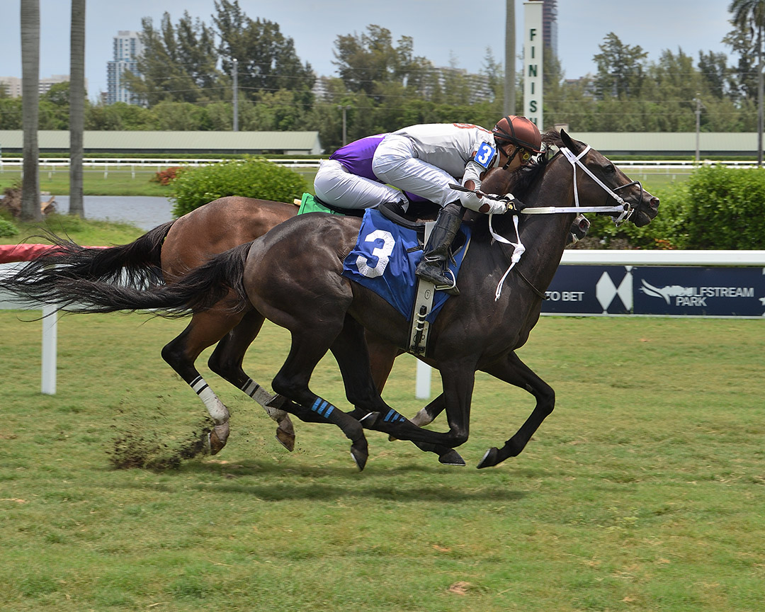 Harbour Master (3) wins a July 5 allowance at Gulfstream