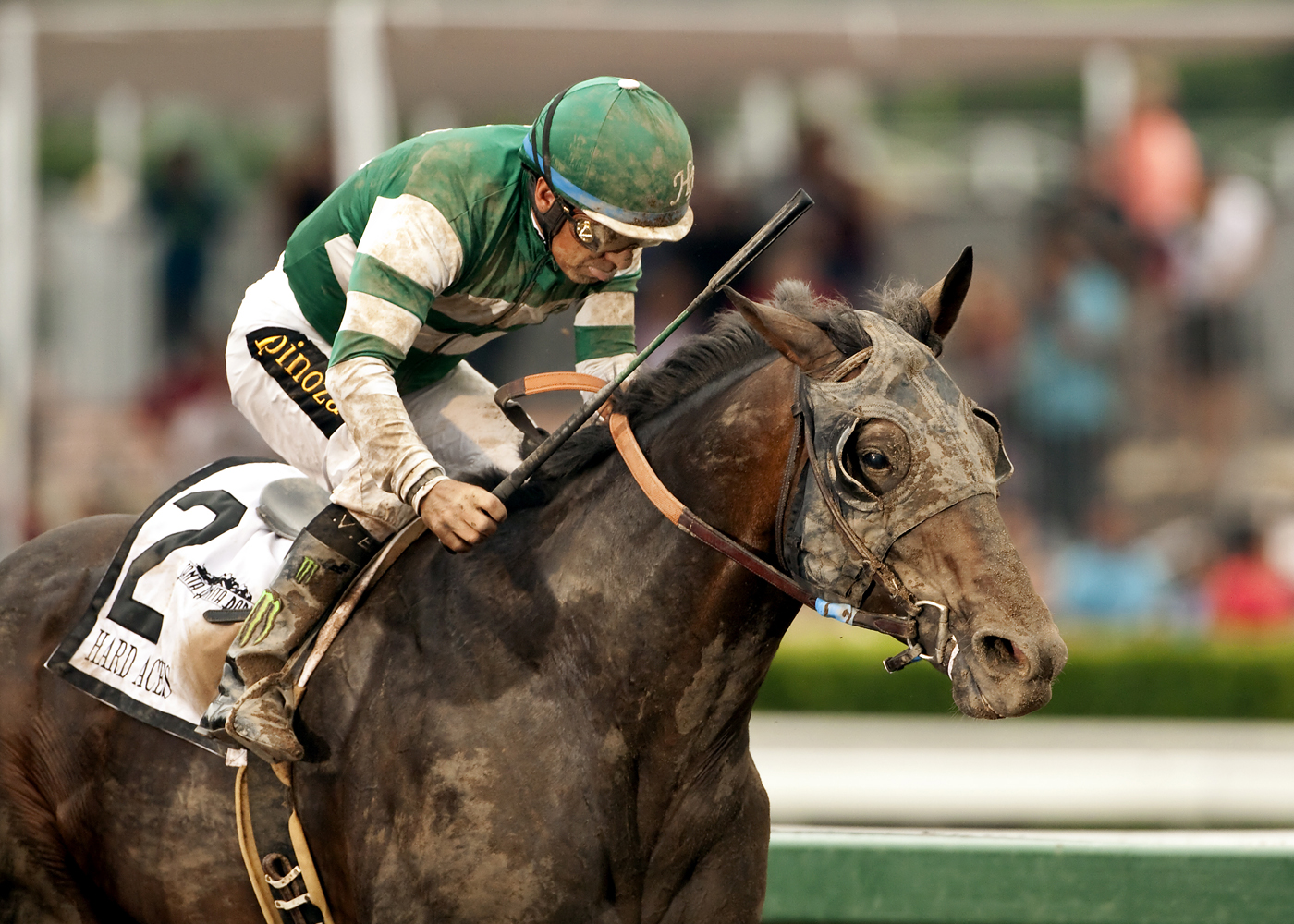 Hard Aces wins 2015 Gold Cup