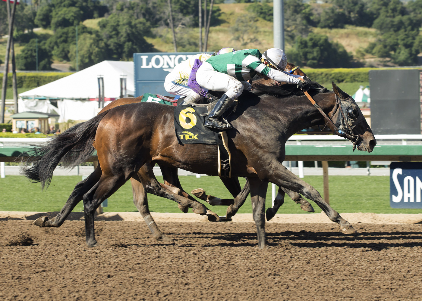 Hard Aces wins the Tokyo City Cup