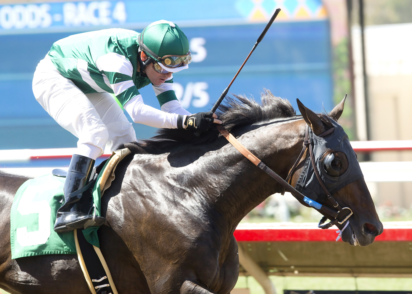 Hard Aces wins the Cougar II Handicap