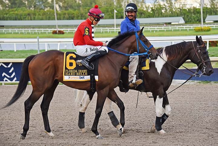 Hard Belle at Gulfstream Park on March 30