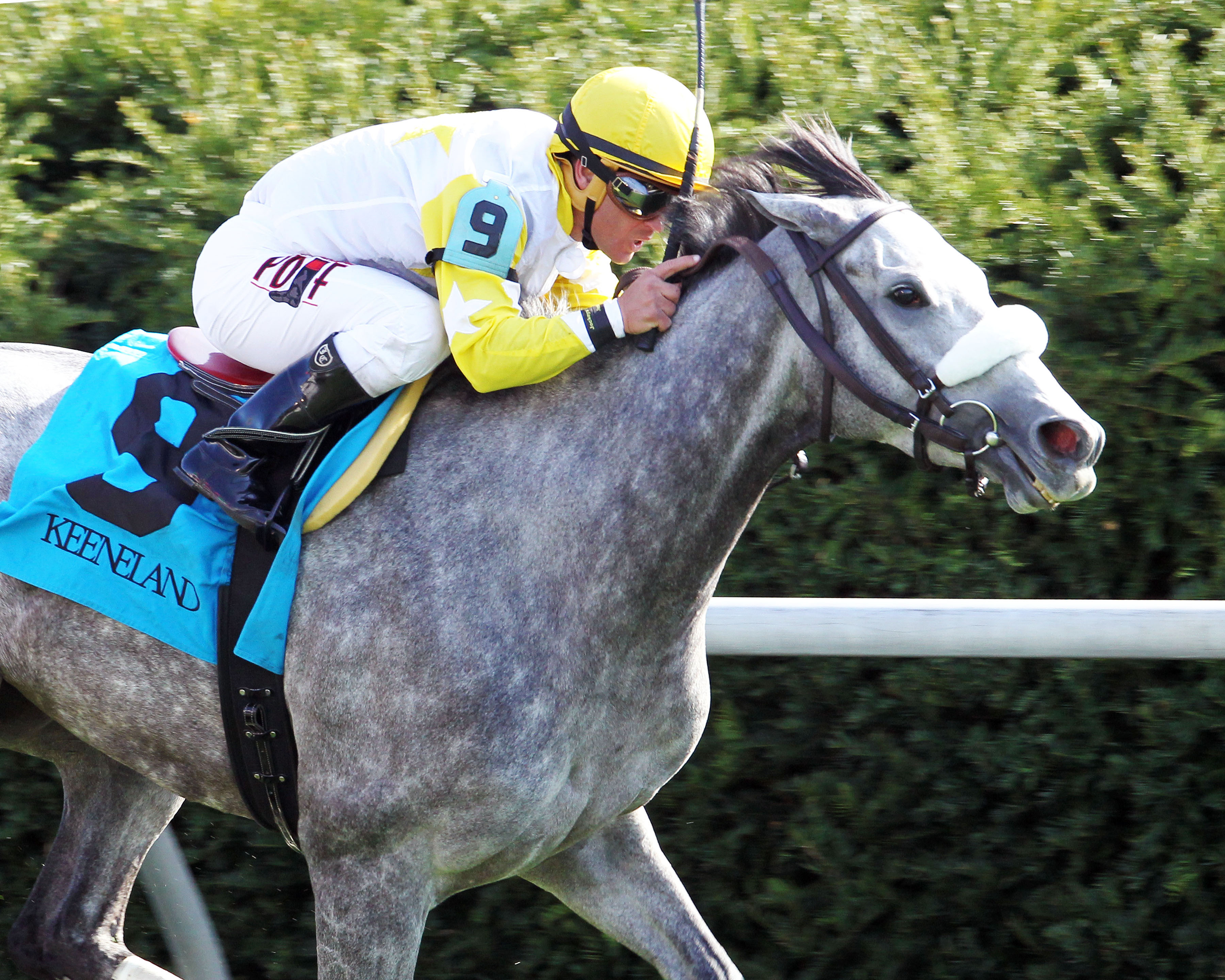 Hard Not to Like wins the 2014 Jenny Wiley