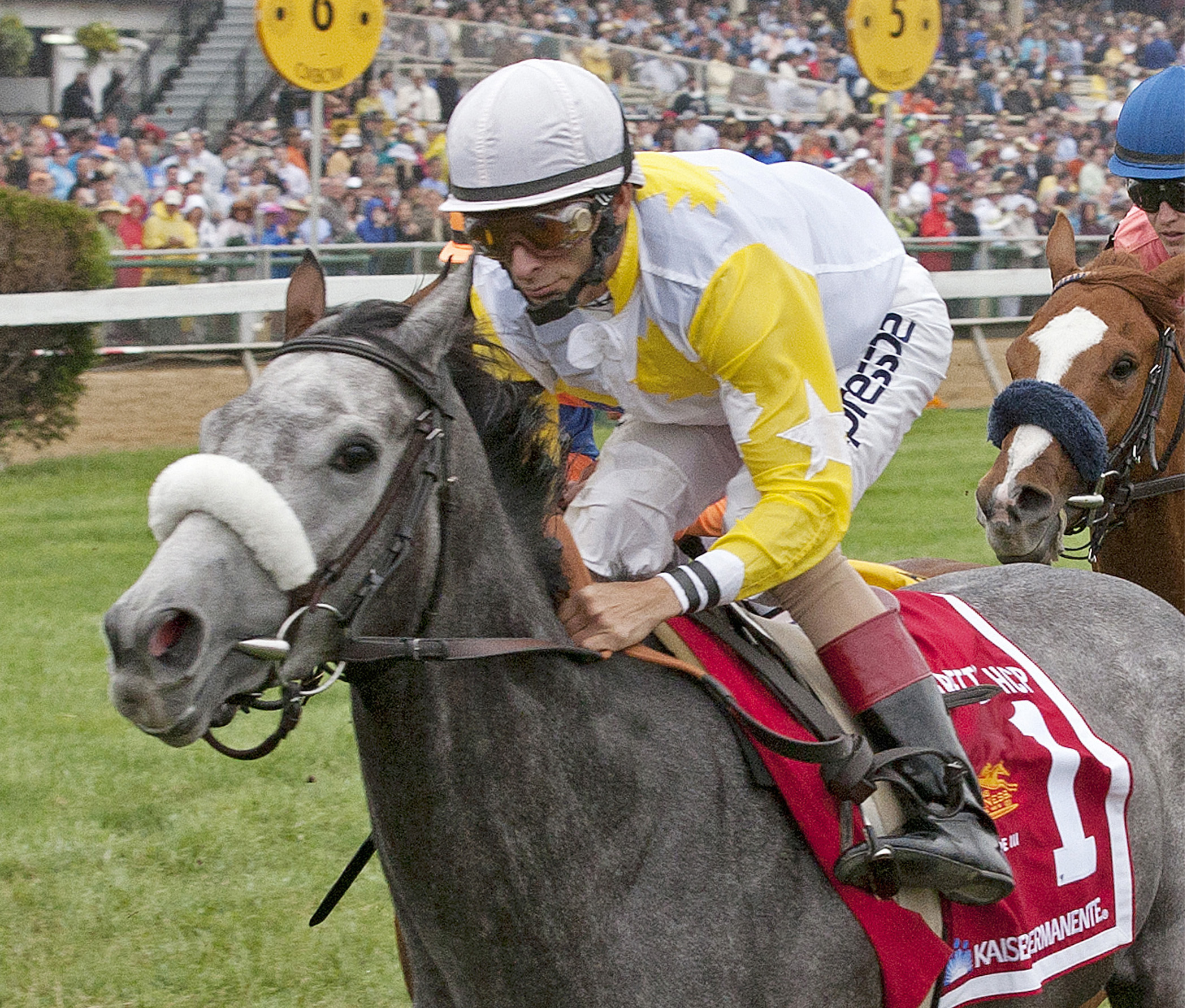 Hard Not to Like finishes second in the Gallorette Handicap